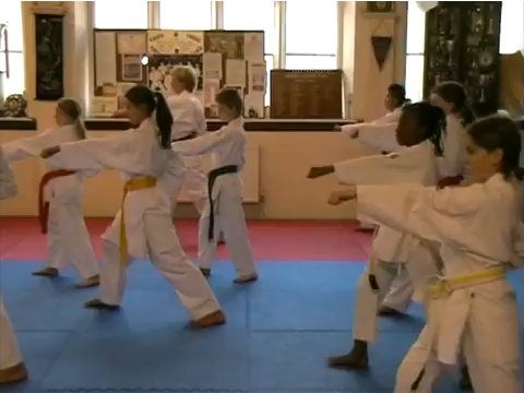 A junior class punching in line on the mats, honour boards on the wall behind
